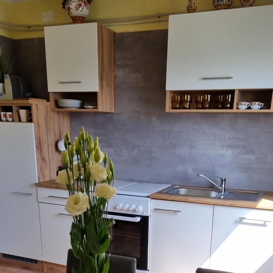 Apartma Tanja -Камнік Екстер'єр фото
